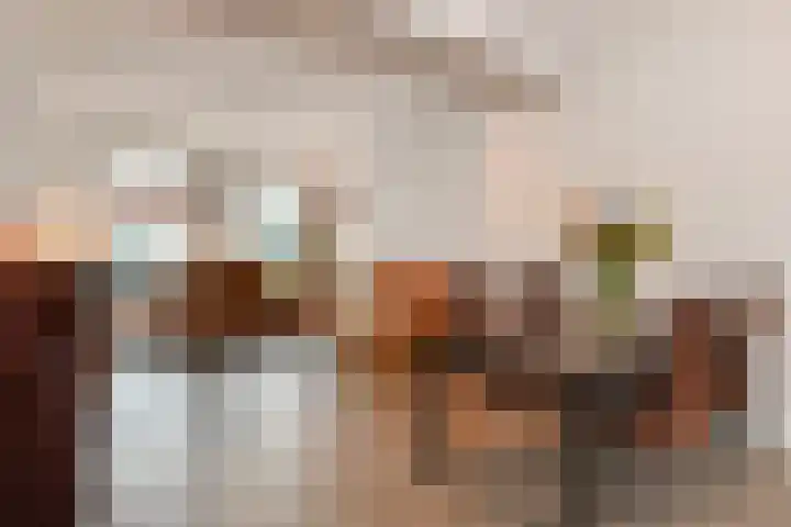 1e Van Reenenstraat 10 Honselersdijk thumbnail 7