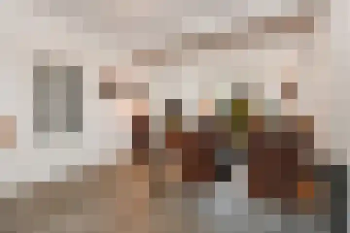 1e Van Reenenstraat 10 Honselersdijk thumbnail 8