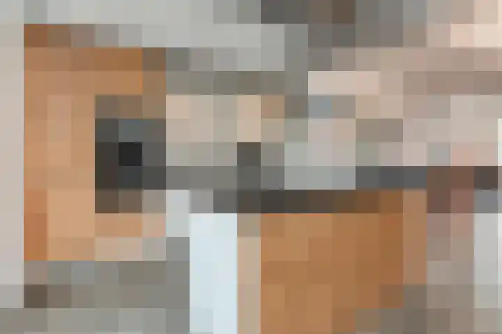 1e Van Reenenstraat 10 Honselersdijk thumbnail 9