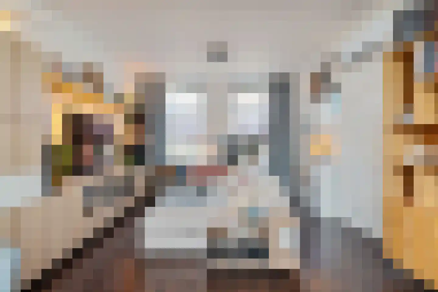 1e Van Reenenstraat 3 Honselersdijk thumbnail 13