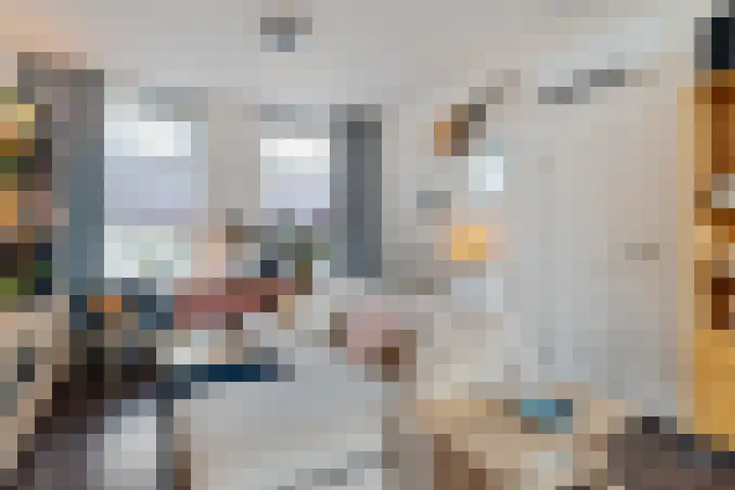 1e Van Reenenstraat 3 Honselersdijk thumbnail 14