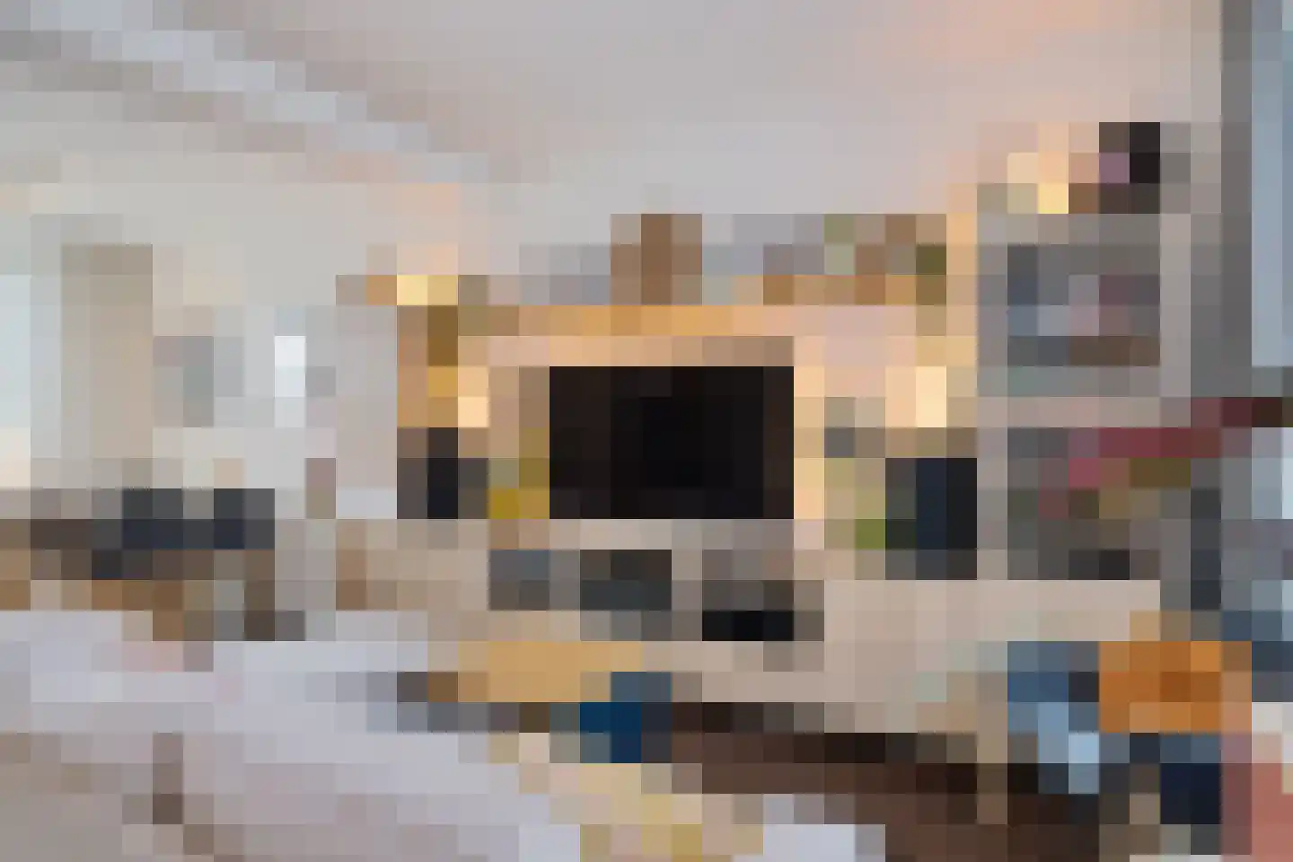 1e Van Reenenstraat 3 Honselersdijk thumbnail 15
