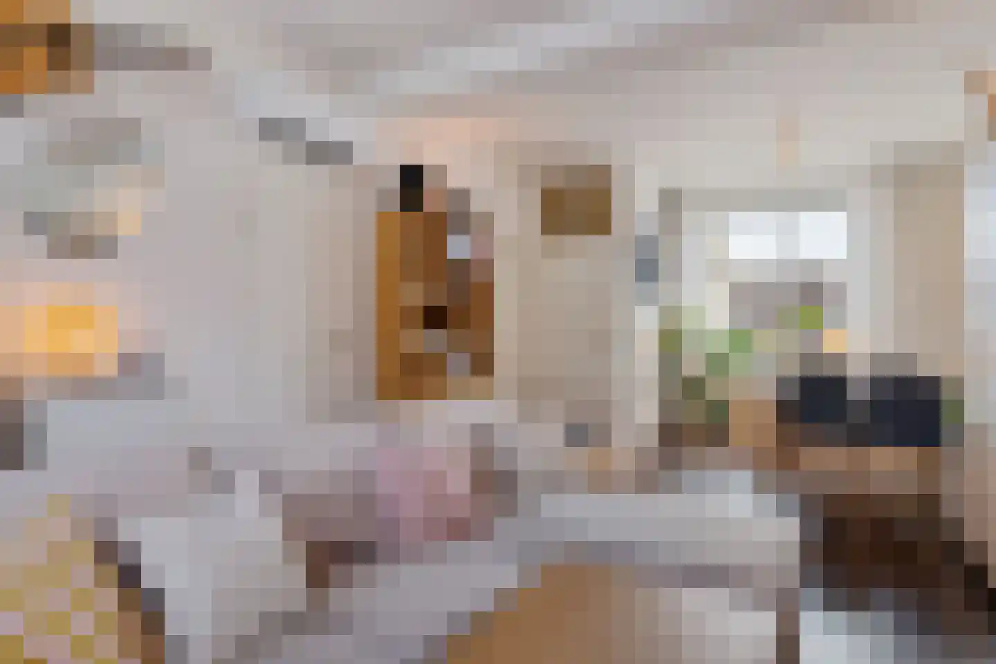 1e Van Reenenstraat 3 Honselersdijk thumbnail 16