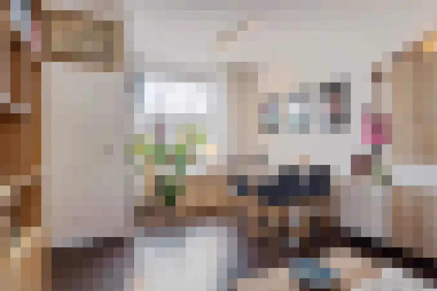 1e Van Reenenstraat 3 Honselersdijk thumbnail 17