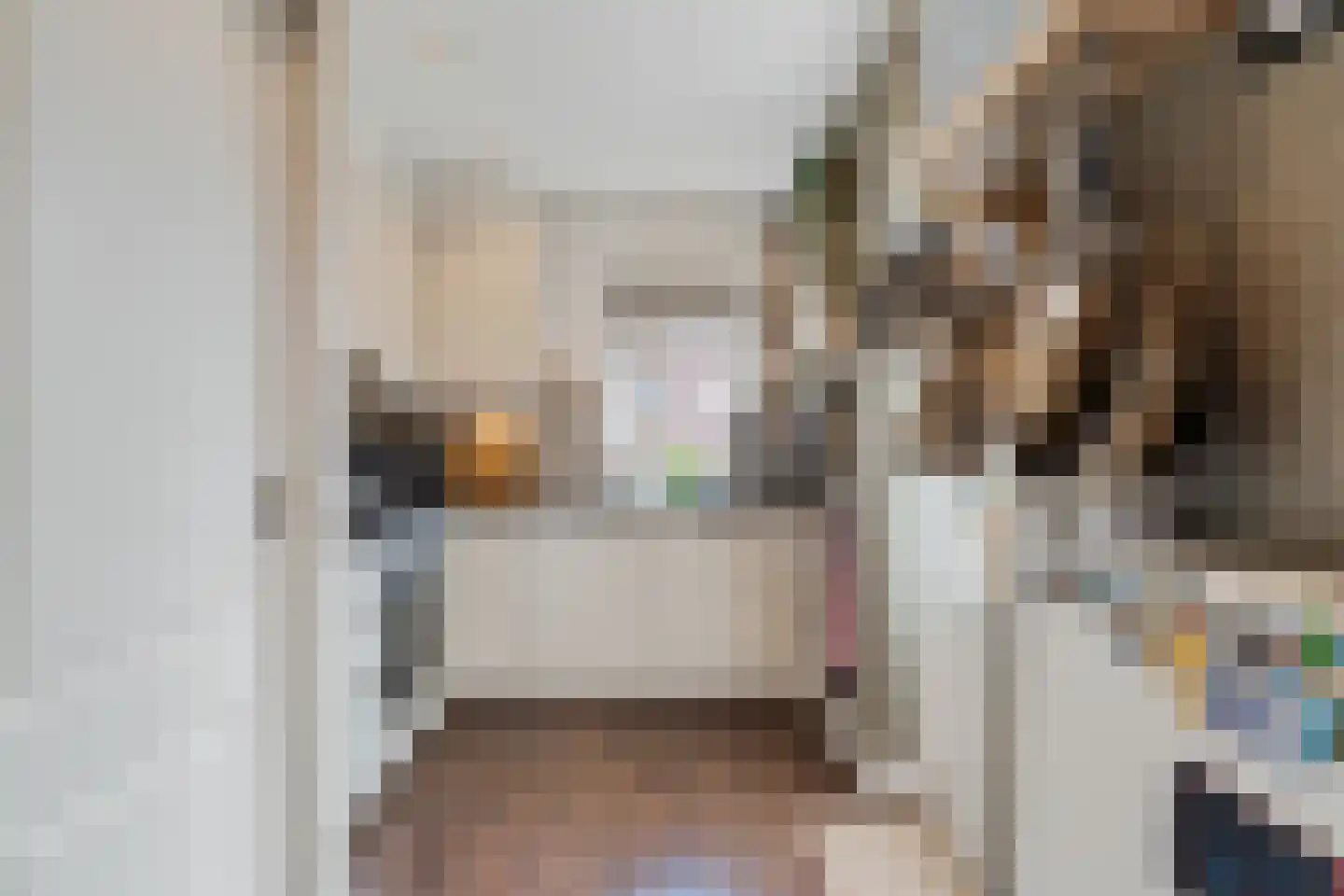 1e Van Reenenstraat 3 Honselersdijk thumbnail 20