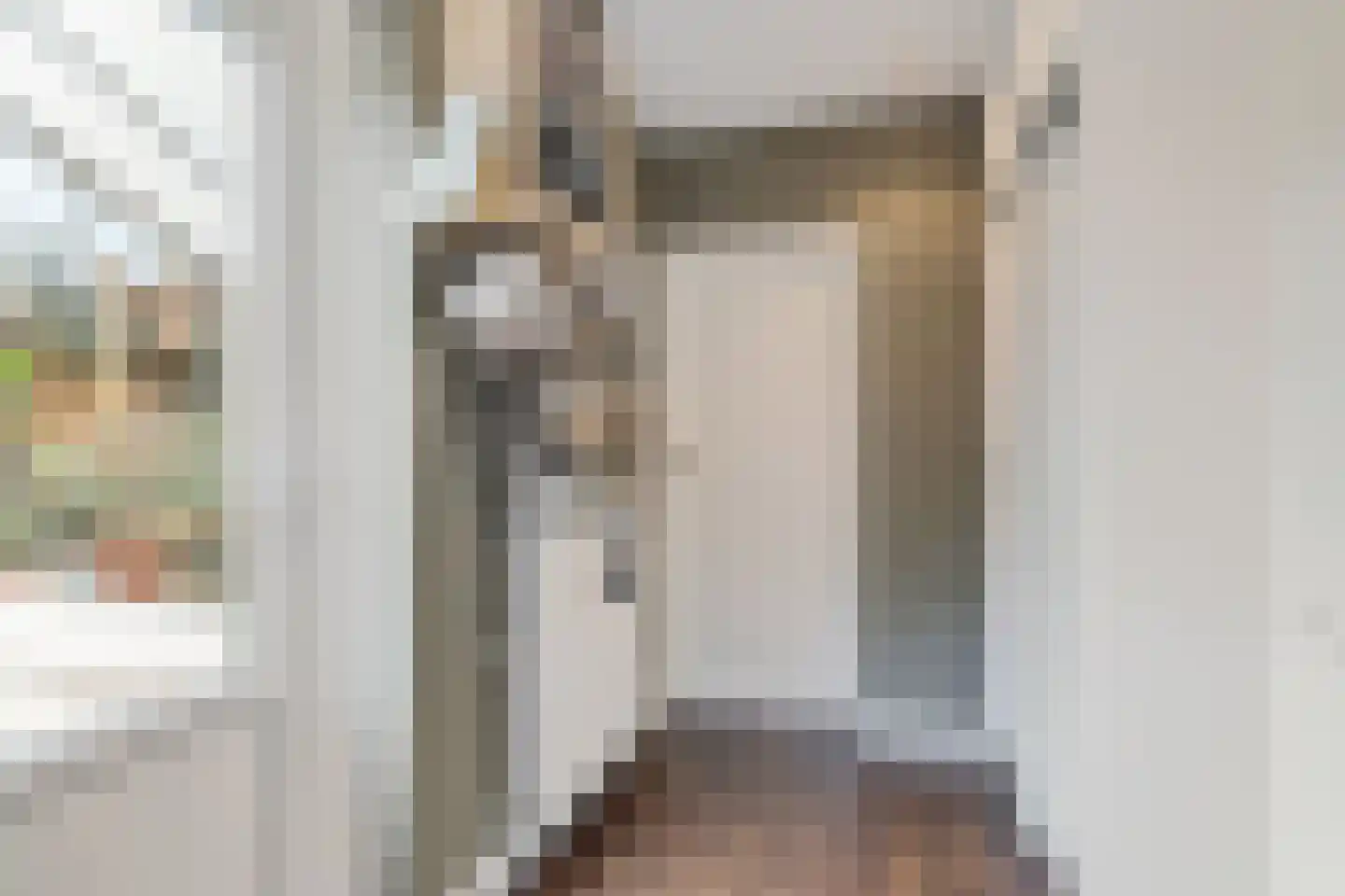 1e Van Reenenstraat 3 Honselersdijk thumbnail 22