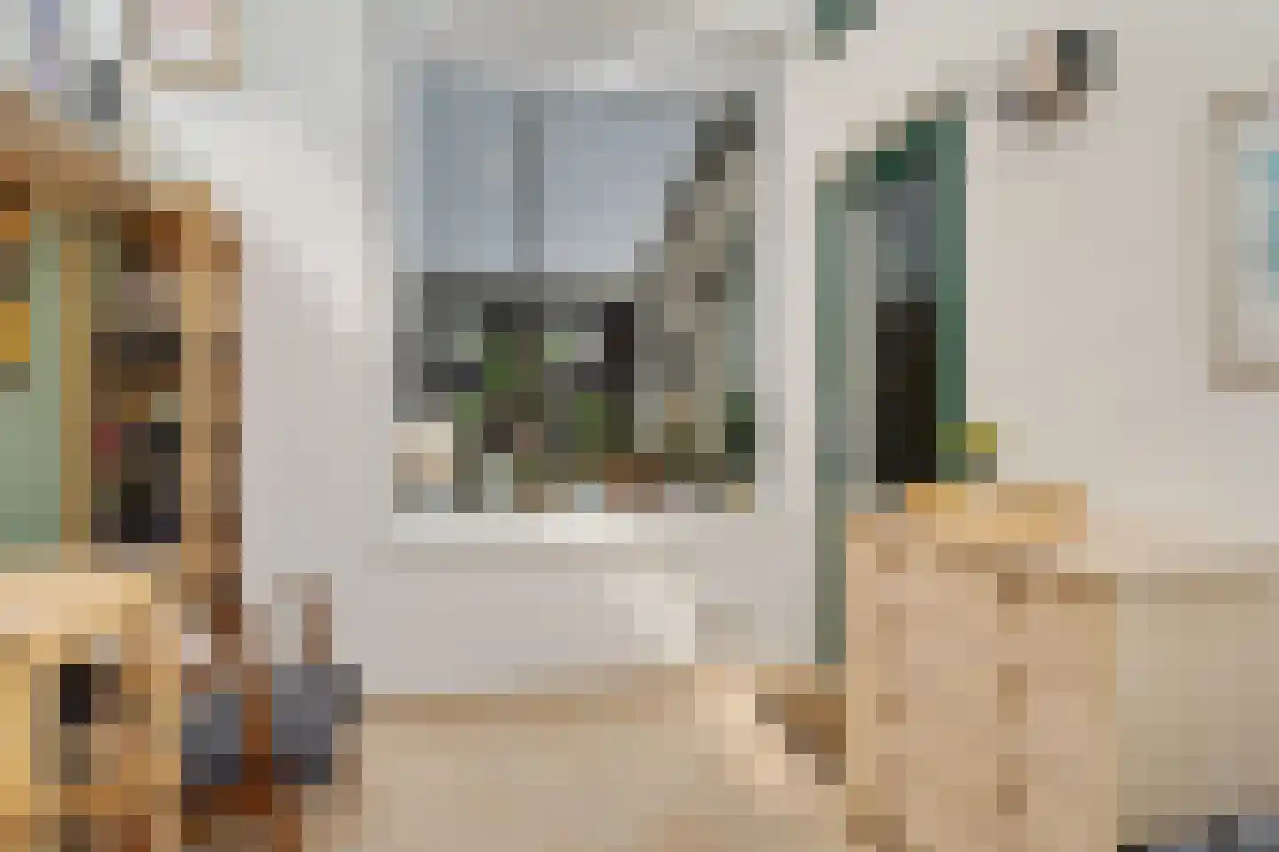 1e Van Reenenstraat 3 Honselersdijk thumbnail 24