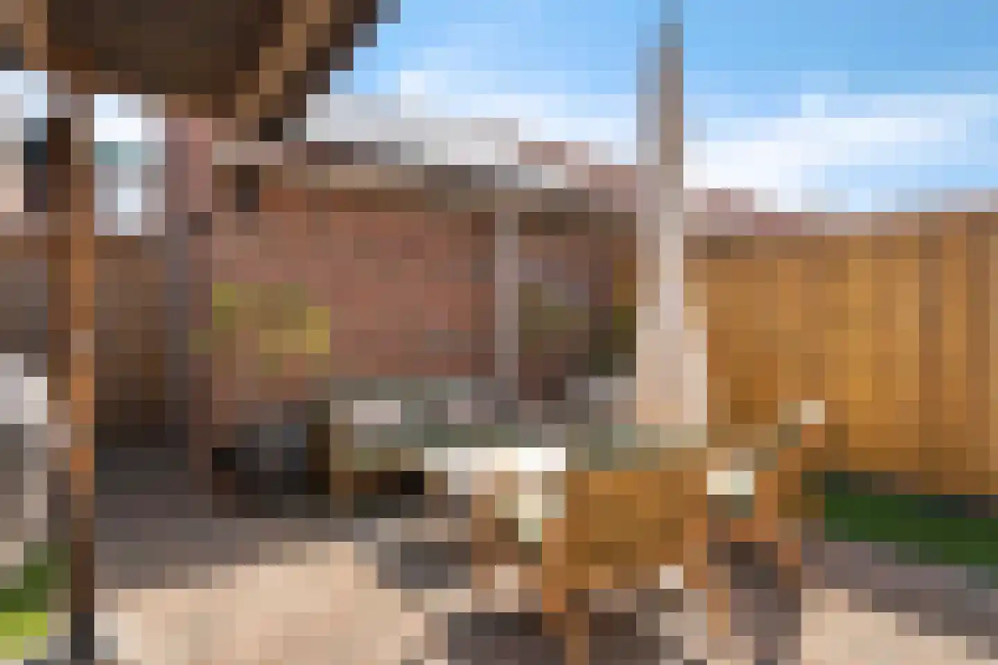 1e Van Reenenstraat 3 Honselersdijk thumbnail 27