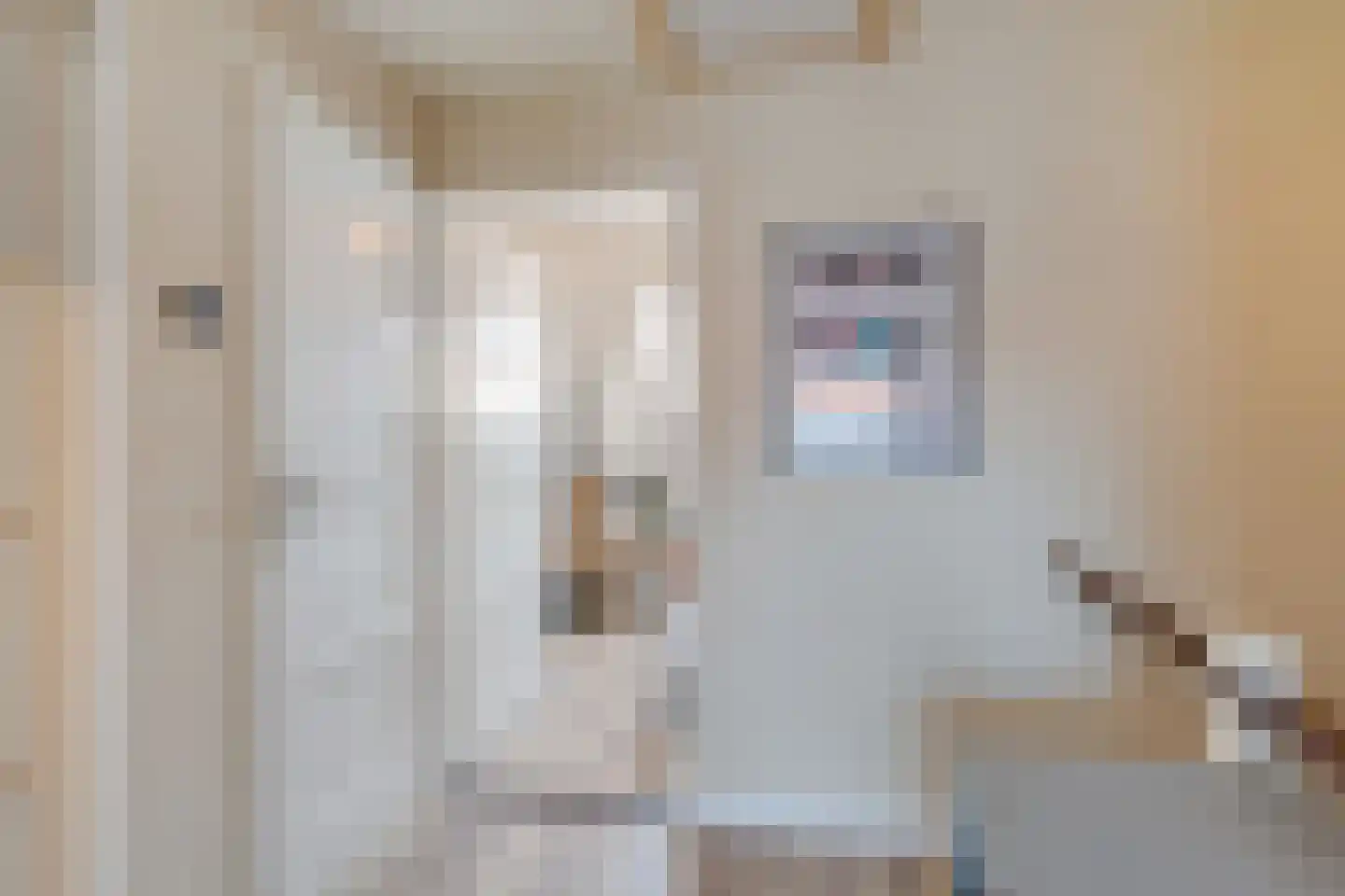 1e Van Reenenstraat 3 Honselersdijk thumbnail 30