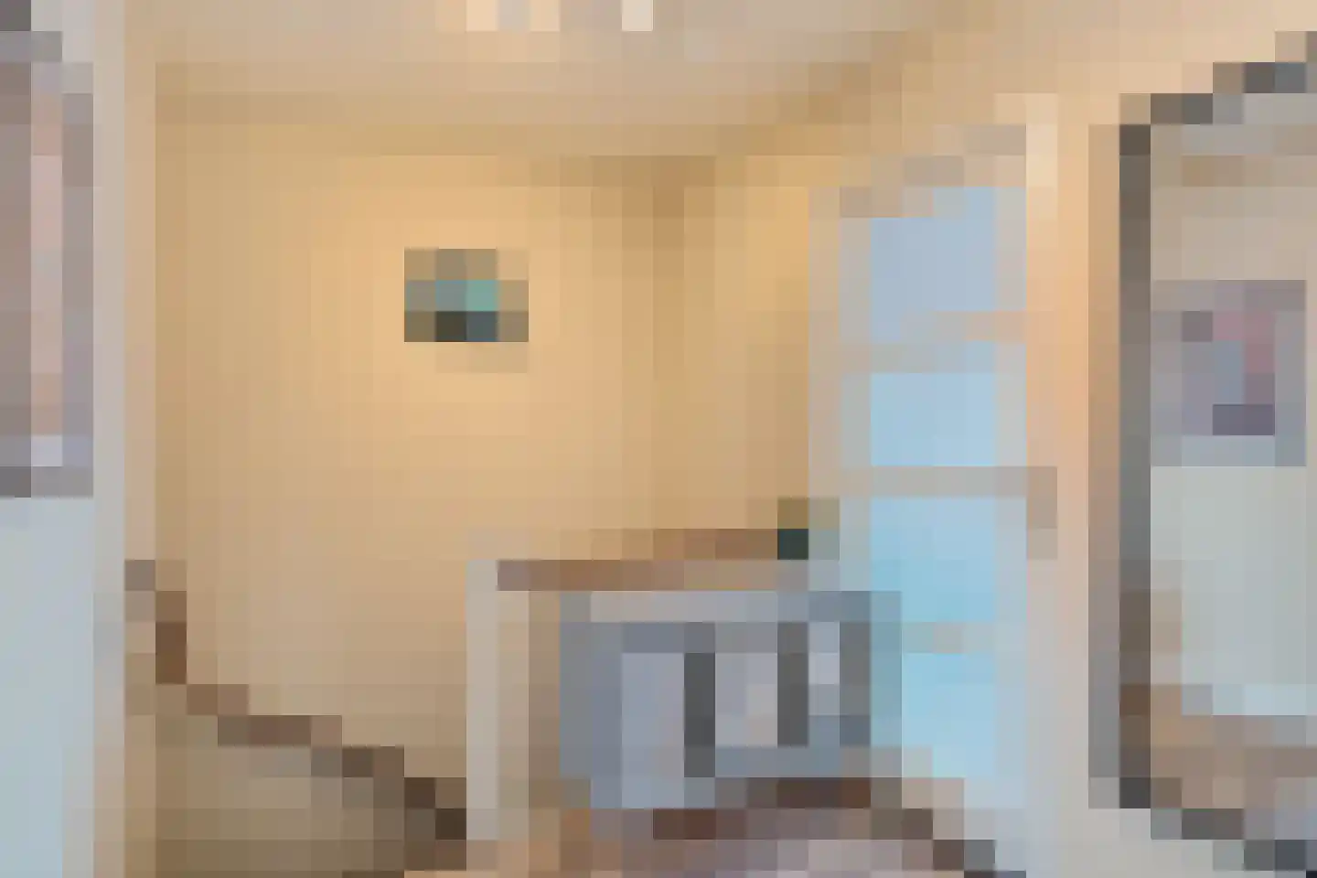 1e Van Reenenstraat 3 Honselersdijk thumbnail 32