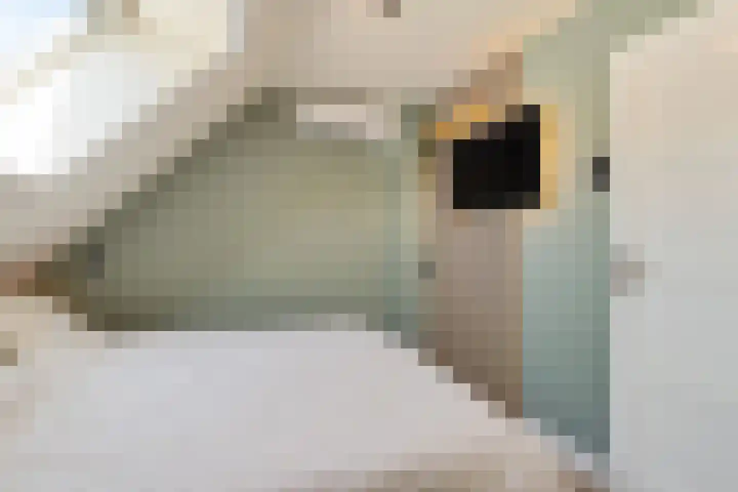1e Van Reenenstraat 3 Honselersdijk thumbnail 34
