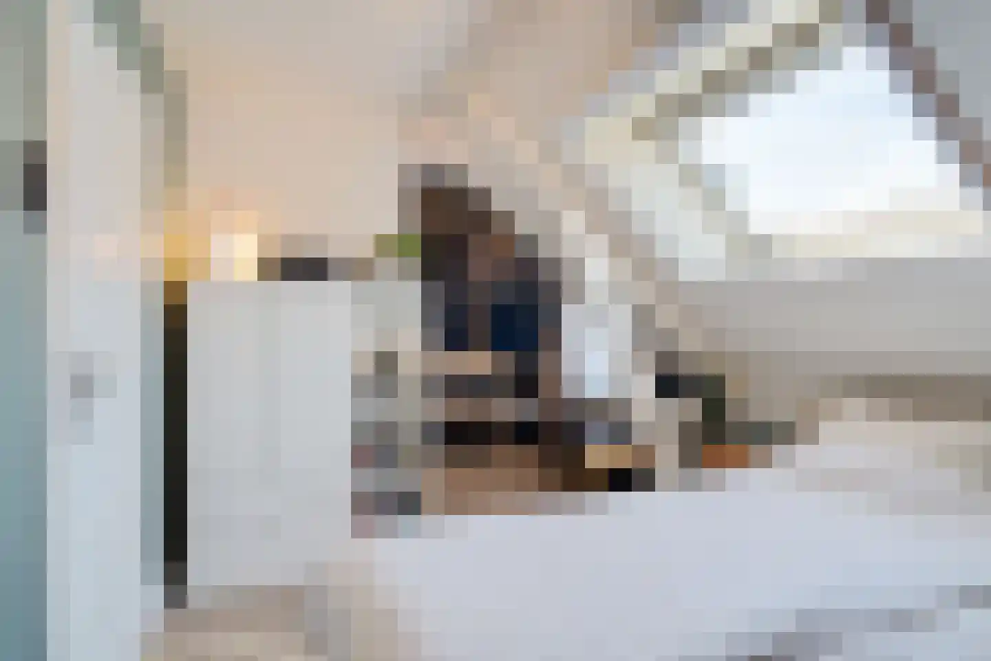 1e Van Reenenstraat 3 Honselersdijk thumbnail 35