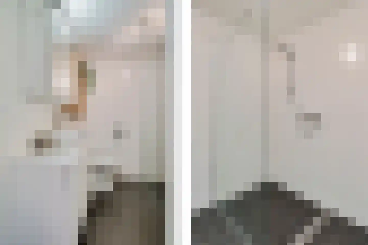 1e Van Reenenstraat 3 Honselersdijk thumbnail 36