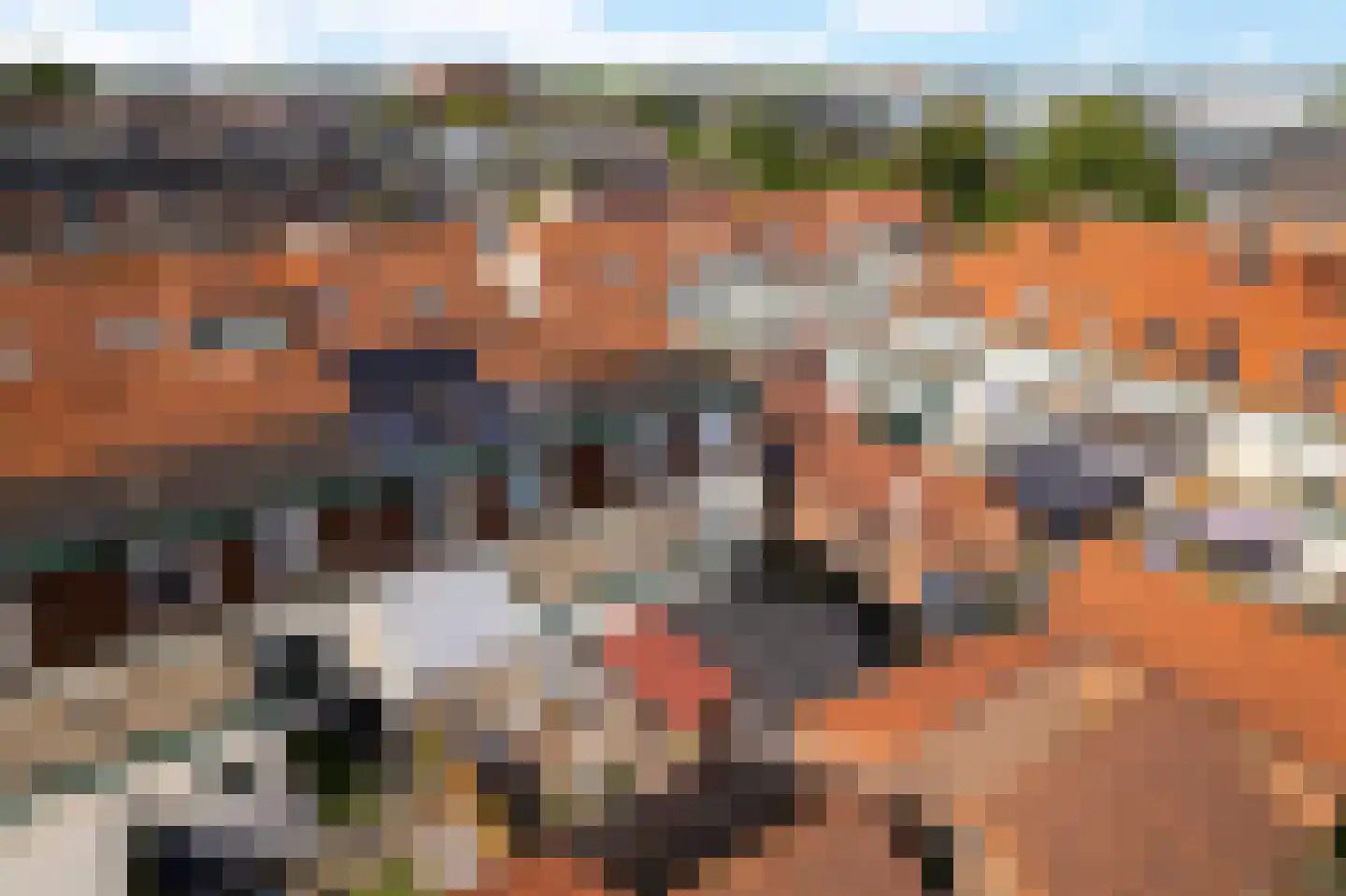 1e Van Reenenstraat 3 Honselersdijk thumbnail 43
