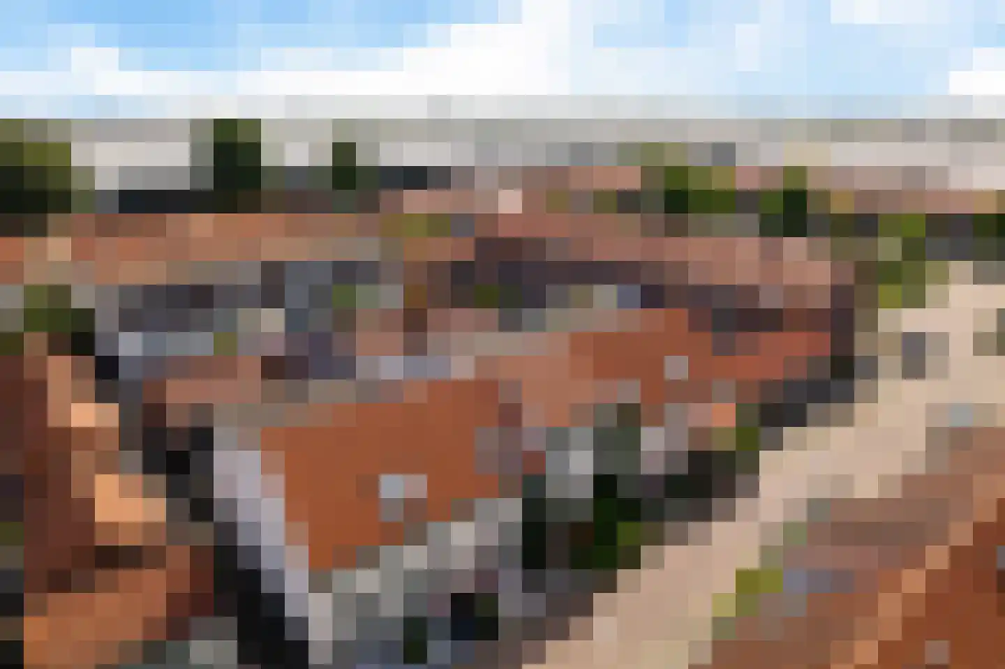 1e Van Reenenstraat 3 Honselersdijk thumbnail 7