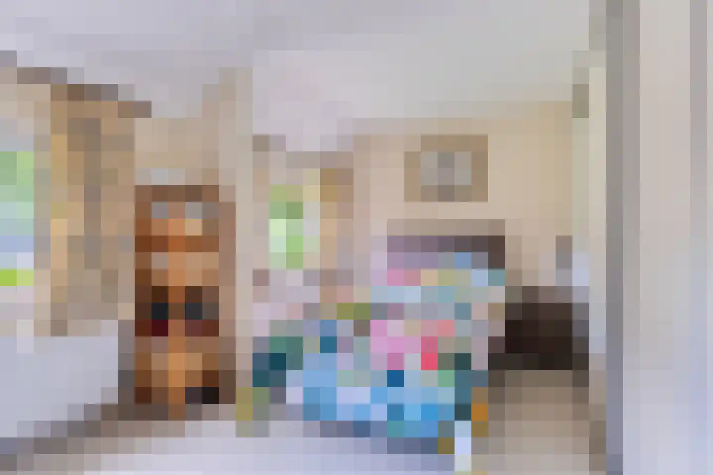 1e Vennenweg 2 Bellingwolde thumbnail 14
