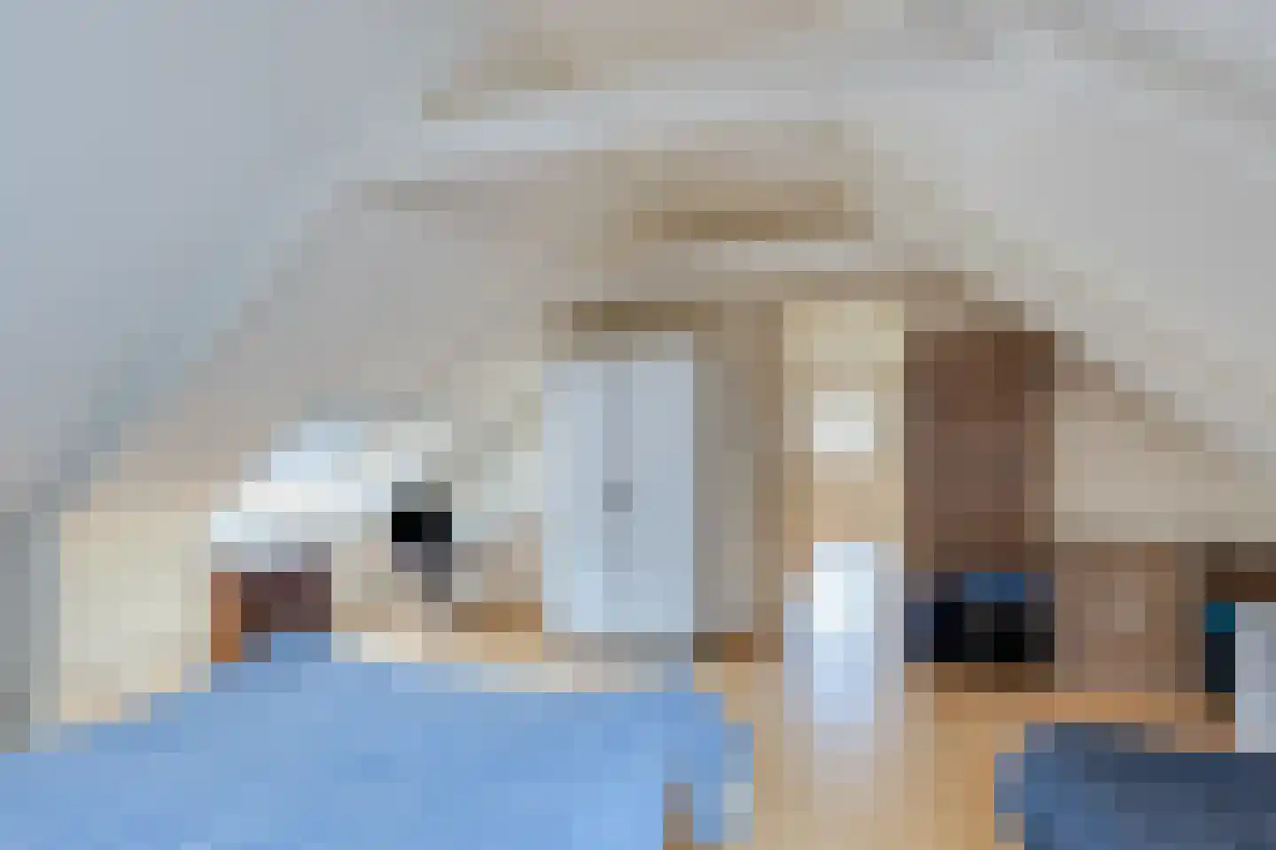 1e Vennenweg 2 Bellingwolde thumbnail 20
