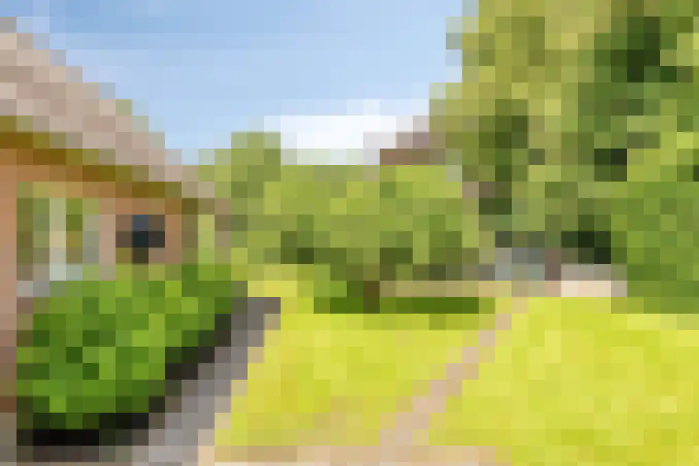 1e Vennenweg 2 Bellingwolde thumbnail 23