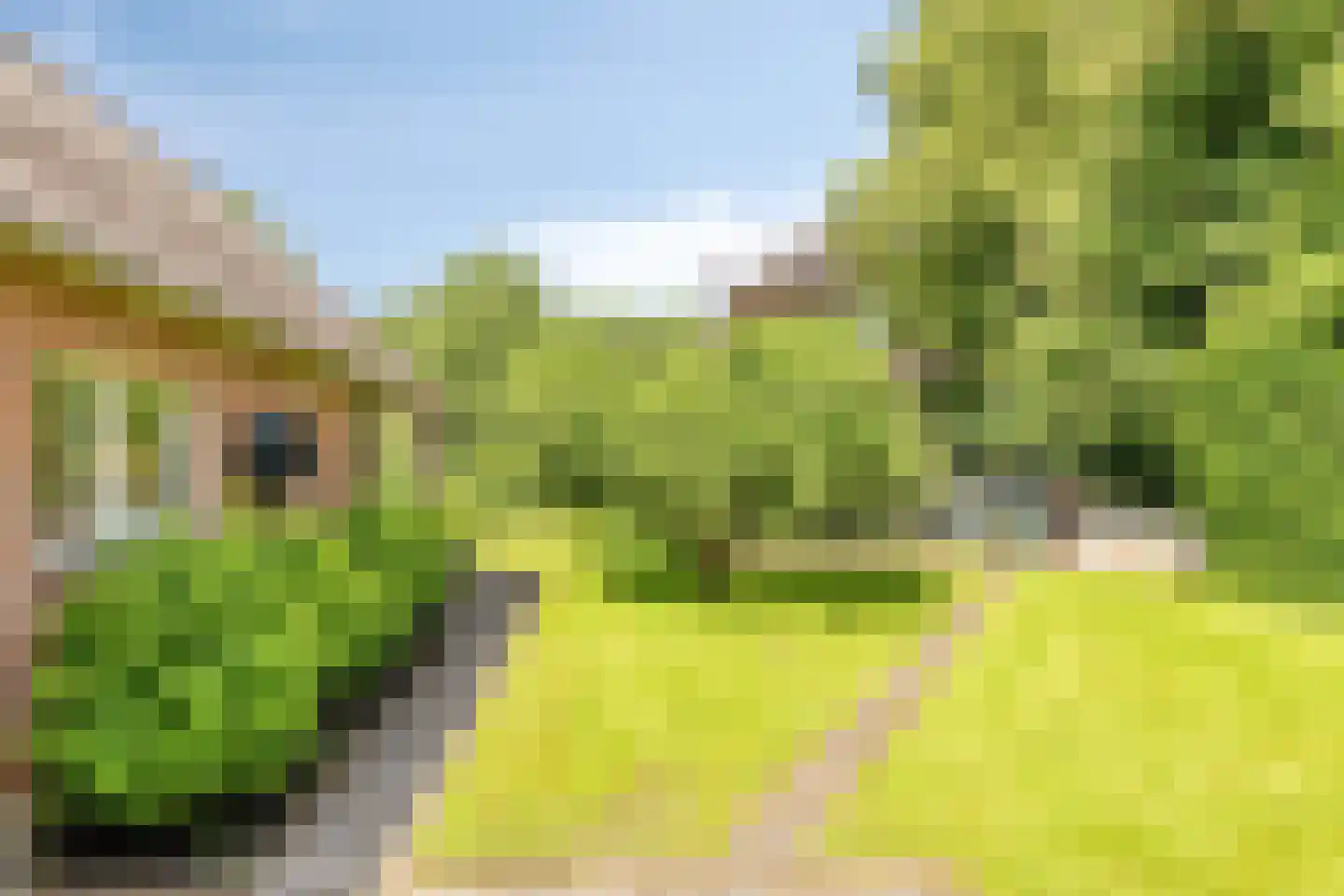 1e Vennenweg 2 Bellingwolde thumbnail 23