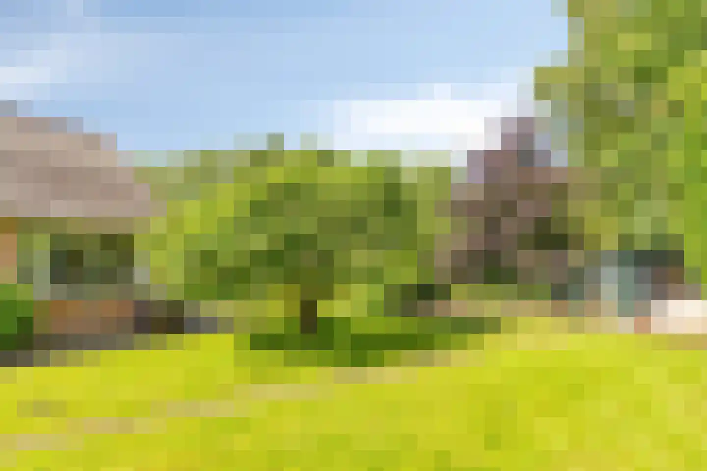1e Vennenweg 2 Bellingwolde thumbnail 24