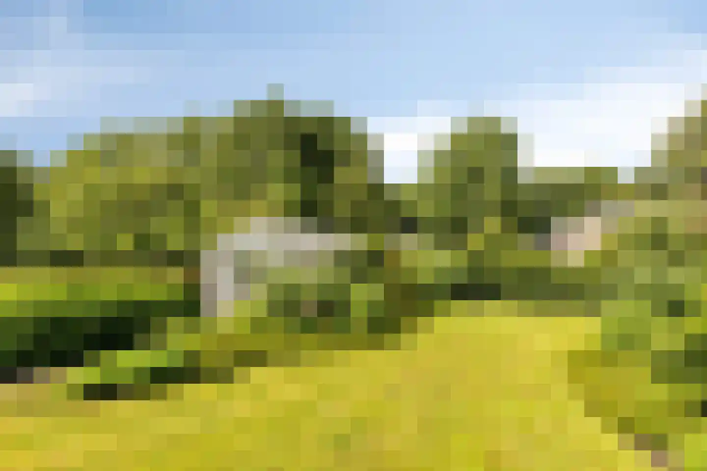 1e Vennenweg 2 Bellingwolde thumbnail 27