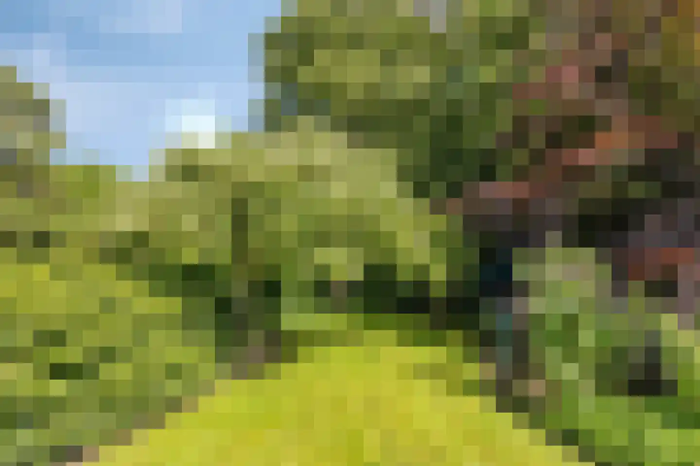 1e Vennenweg 2 Bellingwolde thumbnail 28