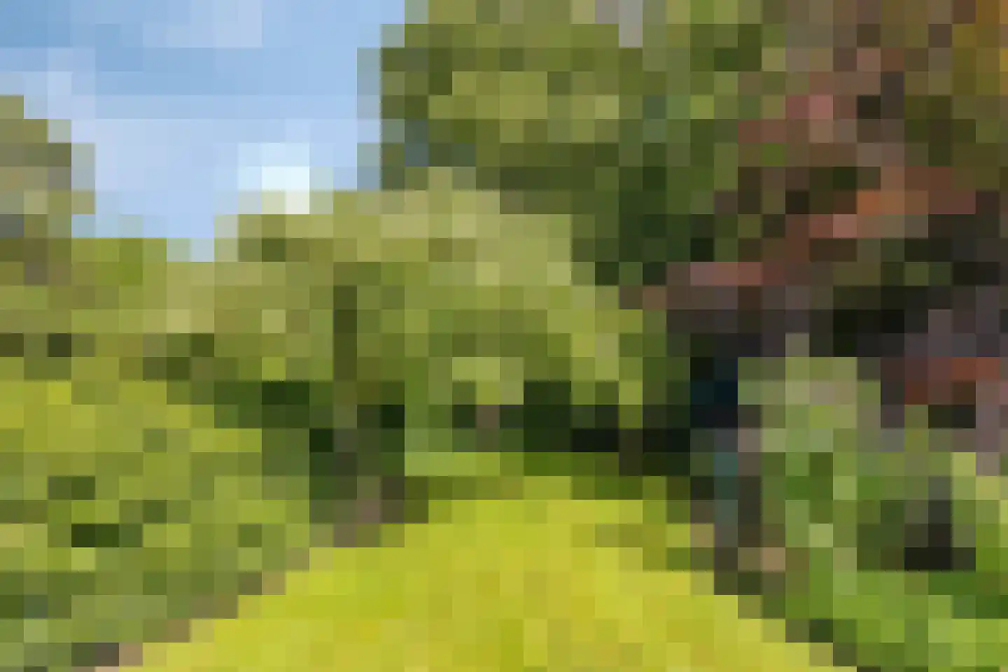1e Vennenweg 2 Bellingwolde thumbnail 28
