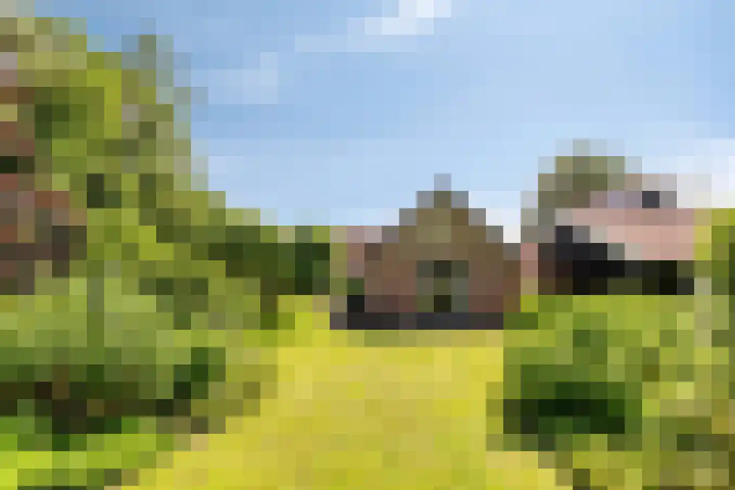 1e Vennenweg 2 Bellingwolde thumbnail 29