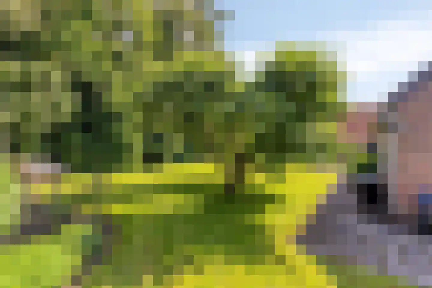 1e Vennenweg 2 Bellingwolde thumbnail 30