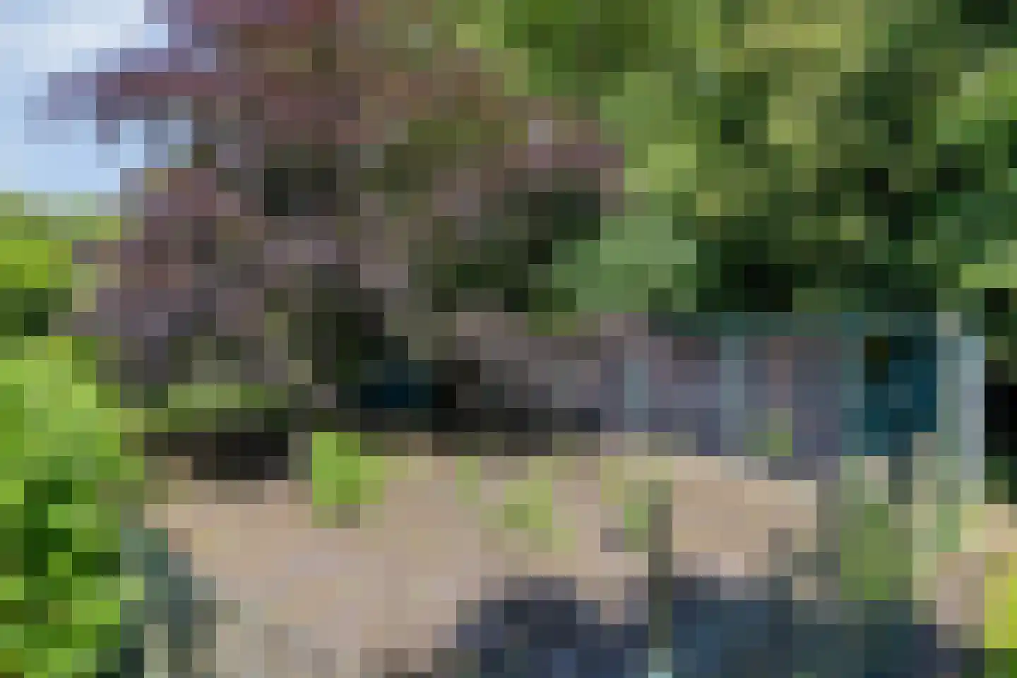 1e Vennenweg 2 Bellingwolde thumbnail 31