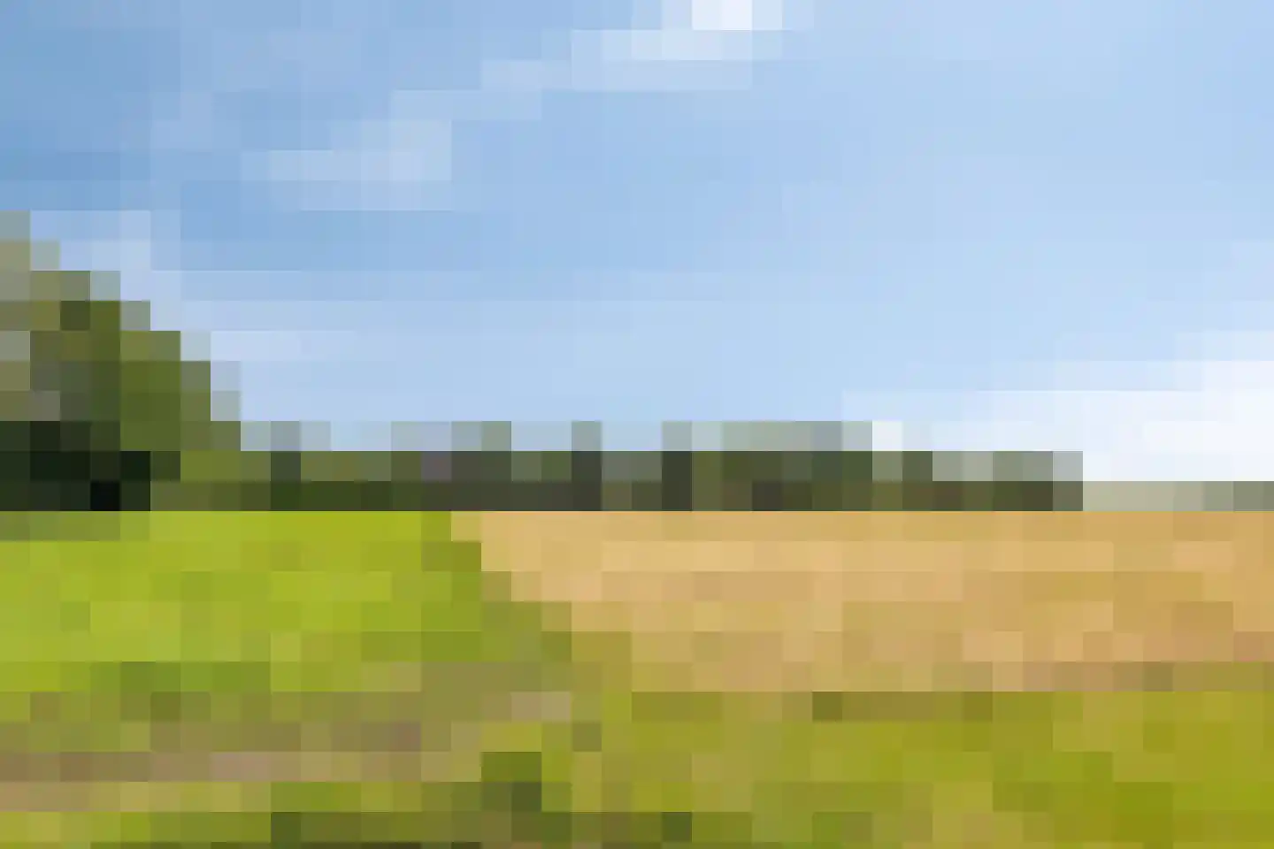 1e Vennenweg 2 Bellingwolde thumbnail 32