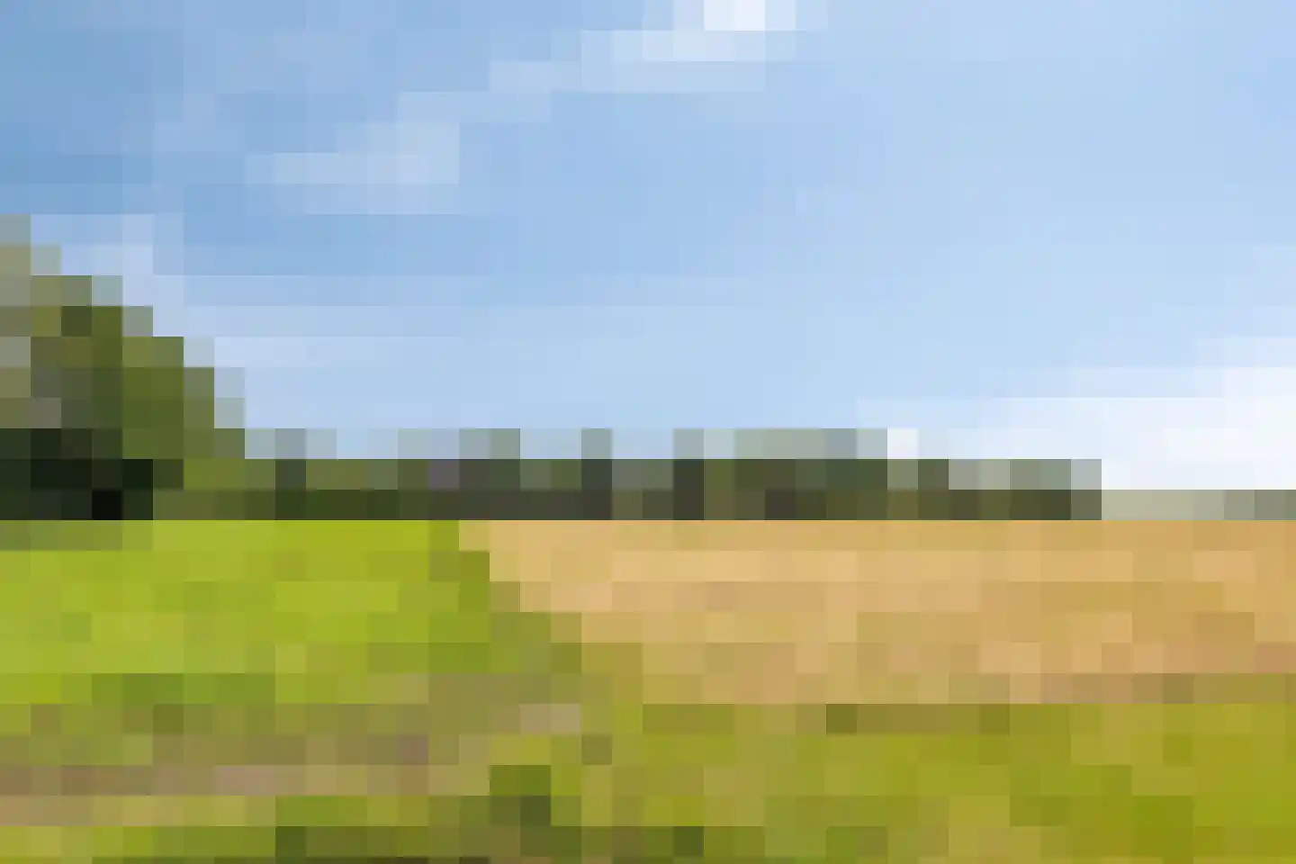 1e Vennenweg 2 Bellingwolde thumbnail 32
