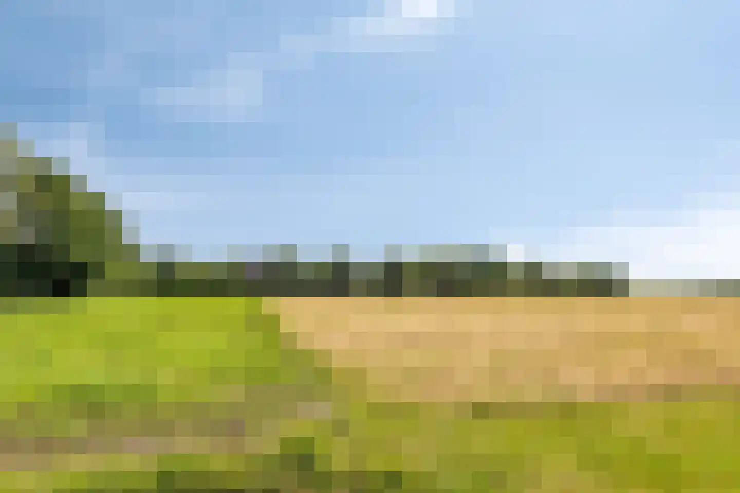 1e Vennenweg 2 Bellingwolde thumbnail 32