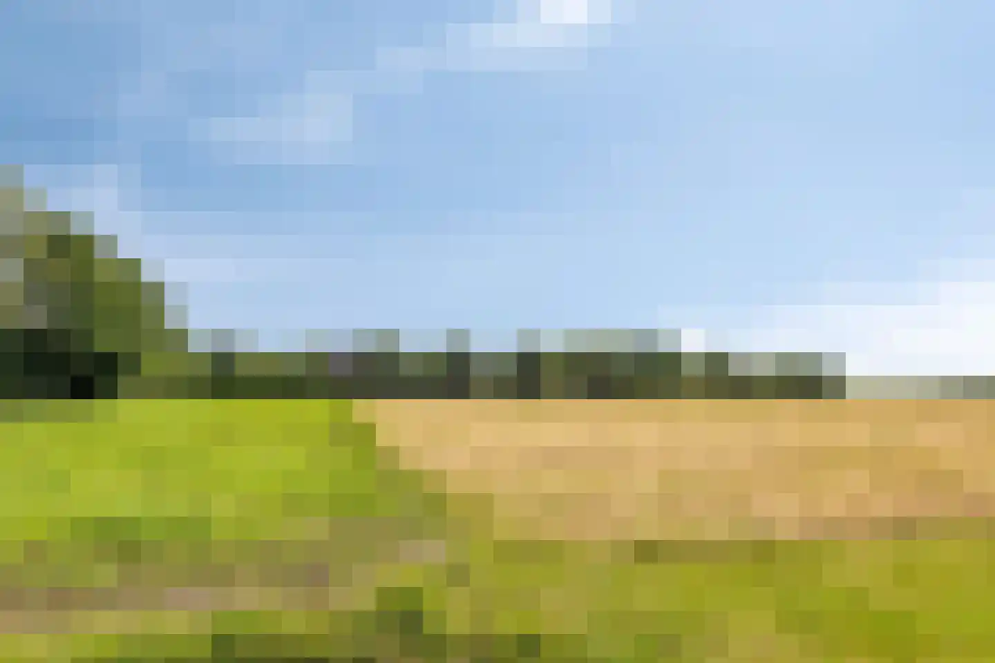 1e Vennenweg 2 Bellingwolde thumbnail 32