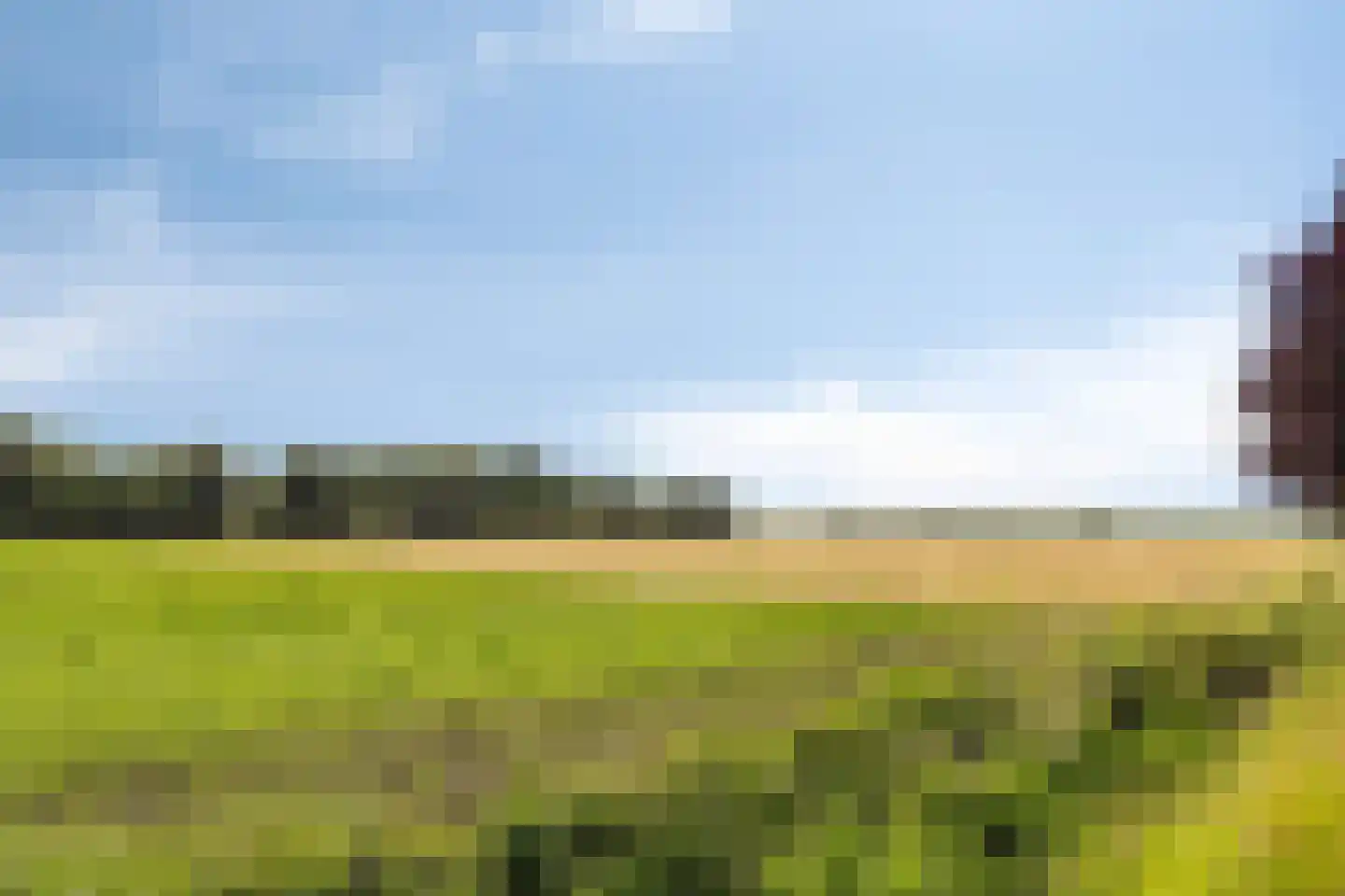 1e Vennenweg 2 Bellingwolde thumbnail 33