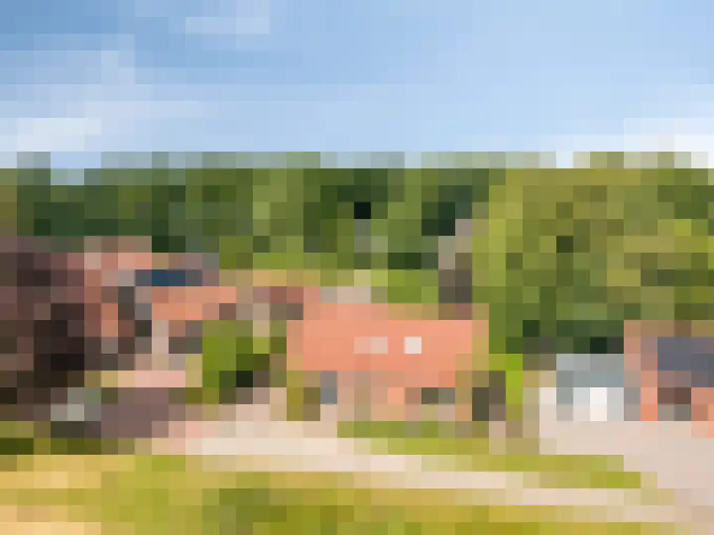 1e Vennenweg 2 Bellingwolde thumbnail 34