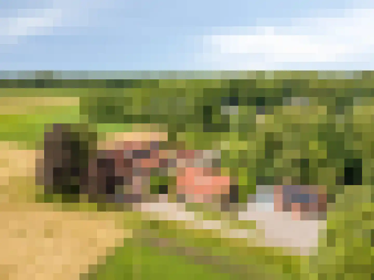 1e Vennenweg 2 Bellingwolde thumbnail 35