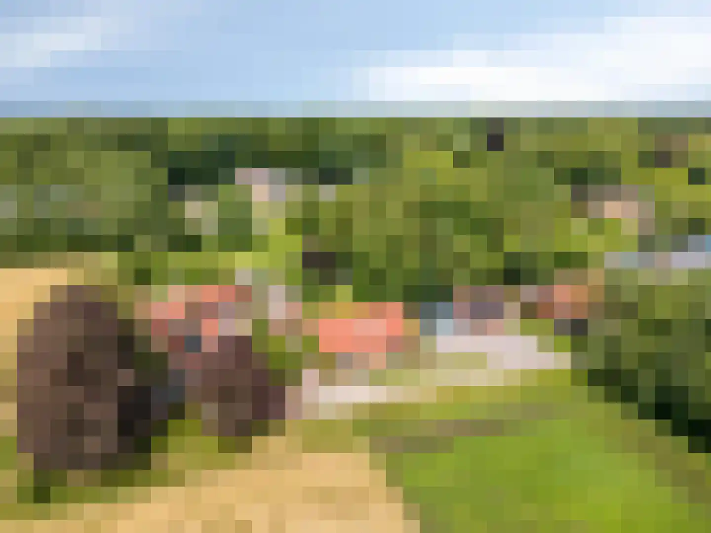 1e Vennenweg 2 Bellingwolde thumbnail 36