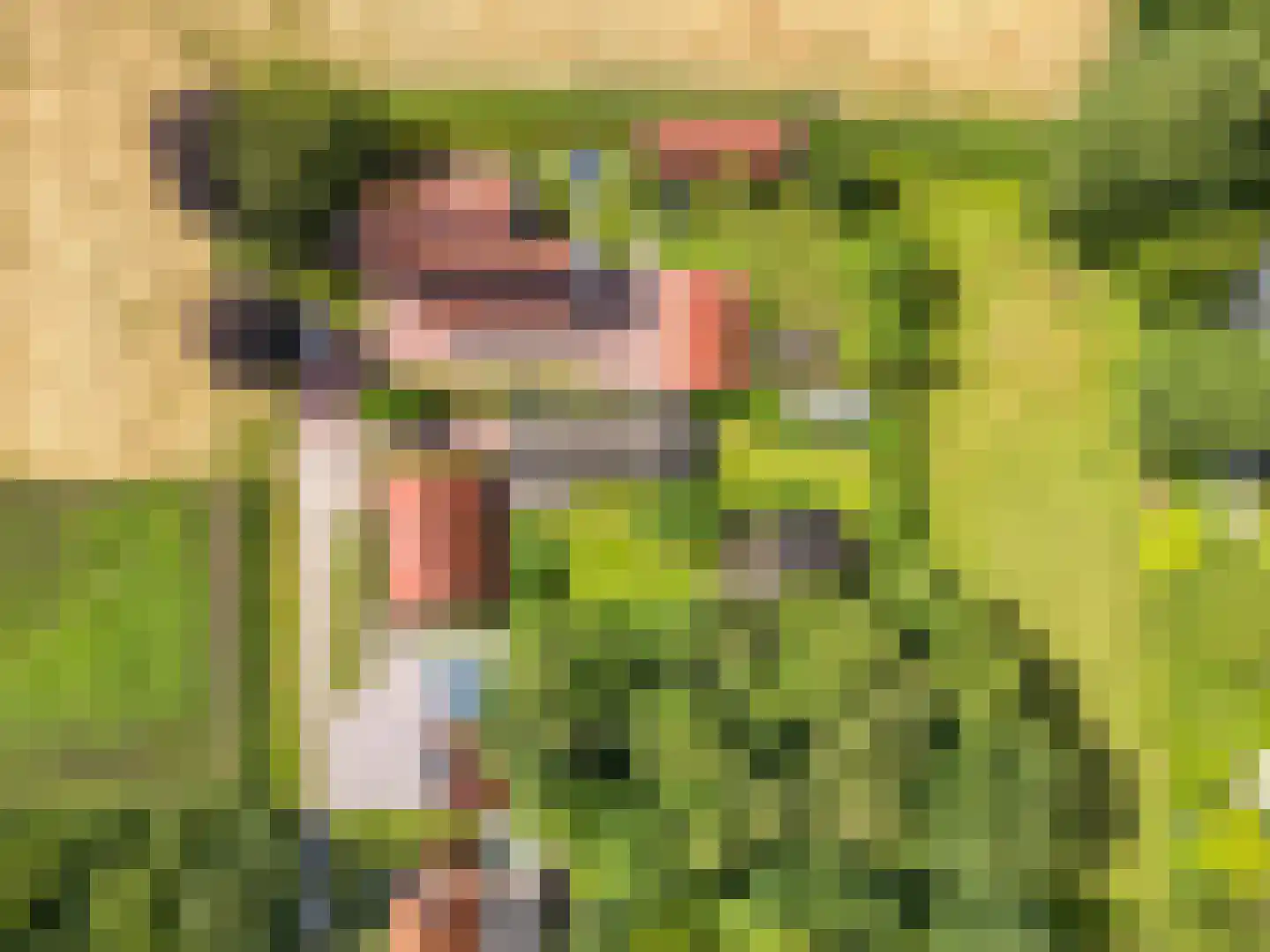 1e Vennenweg 2 Bellingwolde thumbnail 37