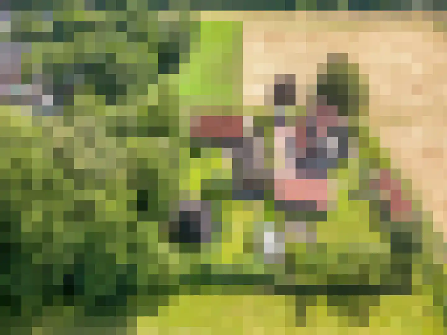 1e Vennenweg 2 Bellingwolde thumbnail 39