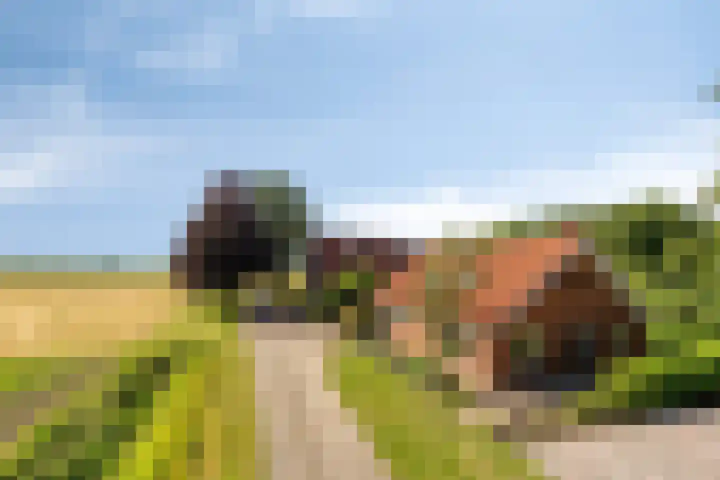 1e Vennenweg 2 Bellingwolde thumbnail 4