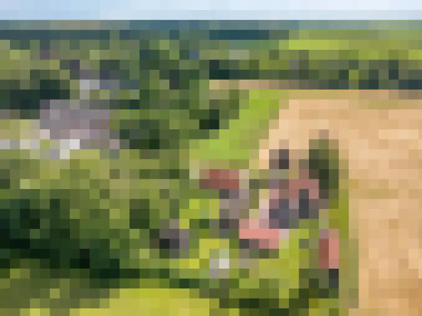 1e Vennenweg 2 Bellingwolde thumbnail 40