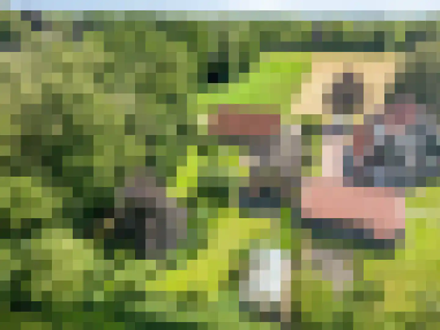 1e Vennenweg 2 Bellingwolde thumbnail 41