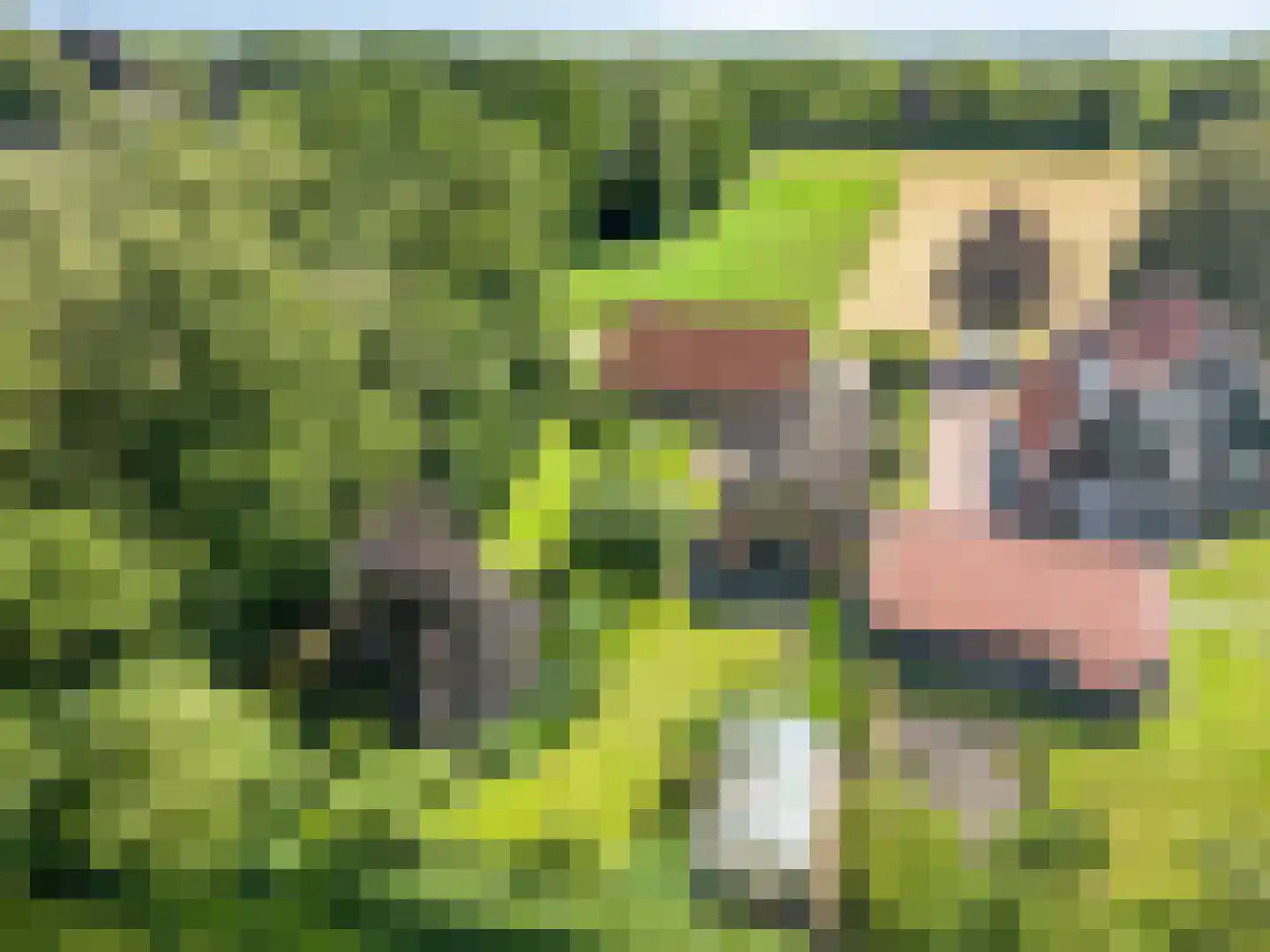 1e Vennenweg 2 Bellingwolde thumbnail 41