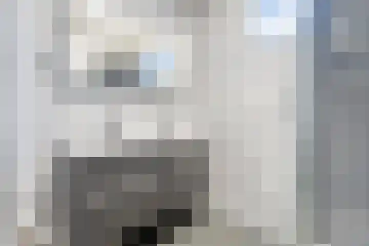 1e Verbindingsstraat 1 a Terneuzen thumbnail 21