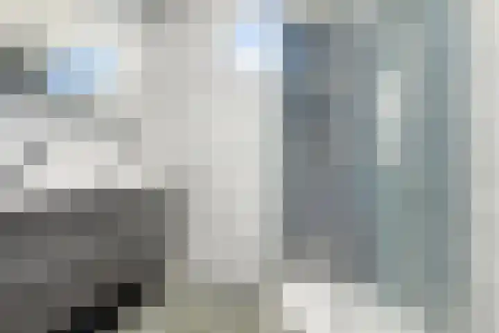 1e Verbindingsstraat 1 a Terneuzen thumbnail 22