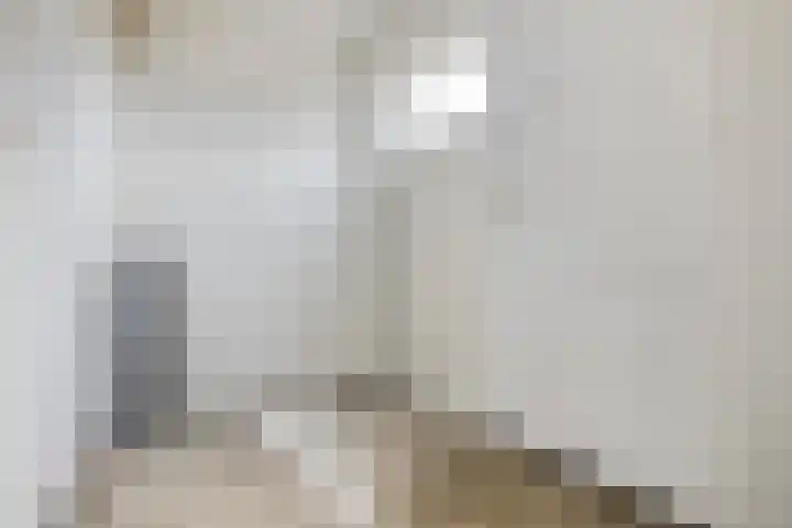 1e Verbindingsstraat 1 a Terneuzen thumbnail 23