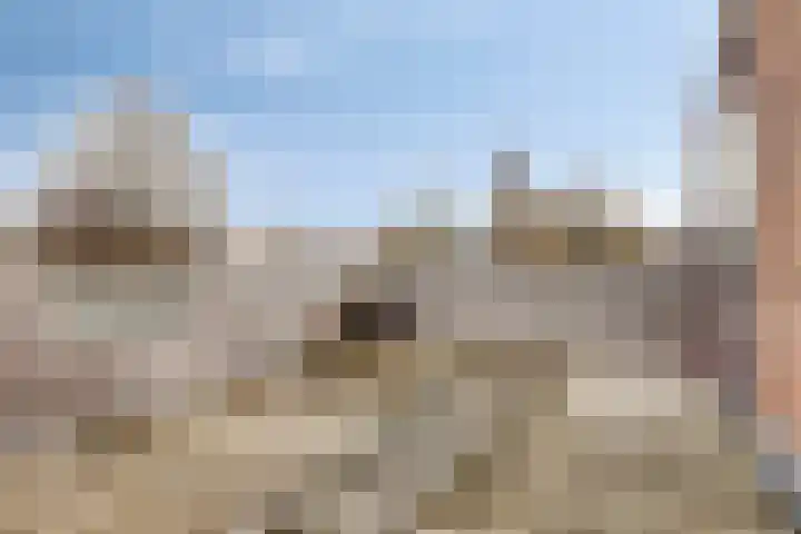 1e Verbindingsstraat 1 a Terneuzen thumbnail 31