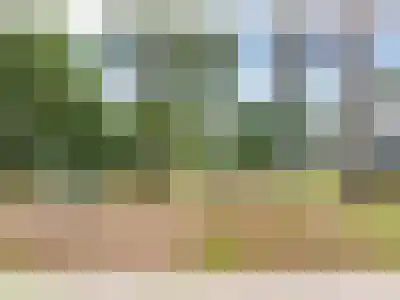 1e Verdelingsweg 526 Putte thumbnail 30