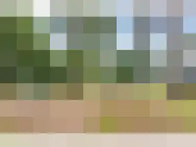 1e Verdelingsweg 526 Putte thumbnail 30